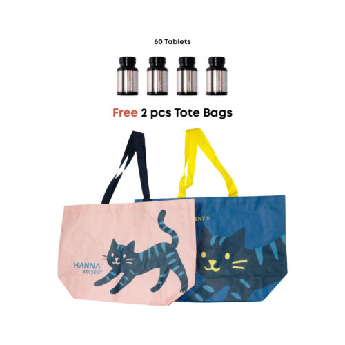 [HA Christmas] Dual Col (Promo B)